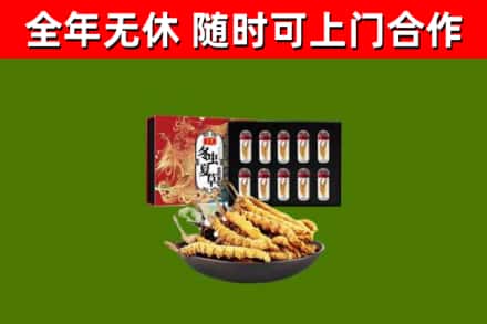 南通回收冬虫夏草价格