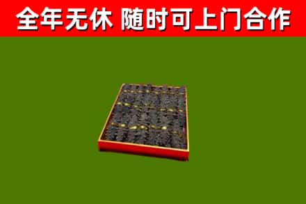 南通回收海参
